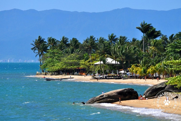 posada-pesque-park-litoral-norte-sp-praia-itaquanduba-ilhabelaB1732DE4-6036-65C8-AFC3-FDBA7A1D1BA4.jpg